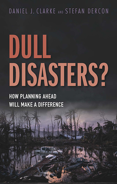 Dull disasters book cover