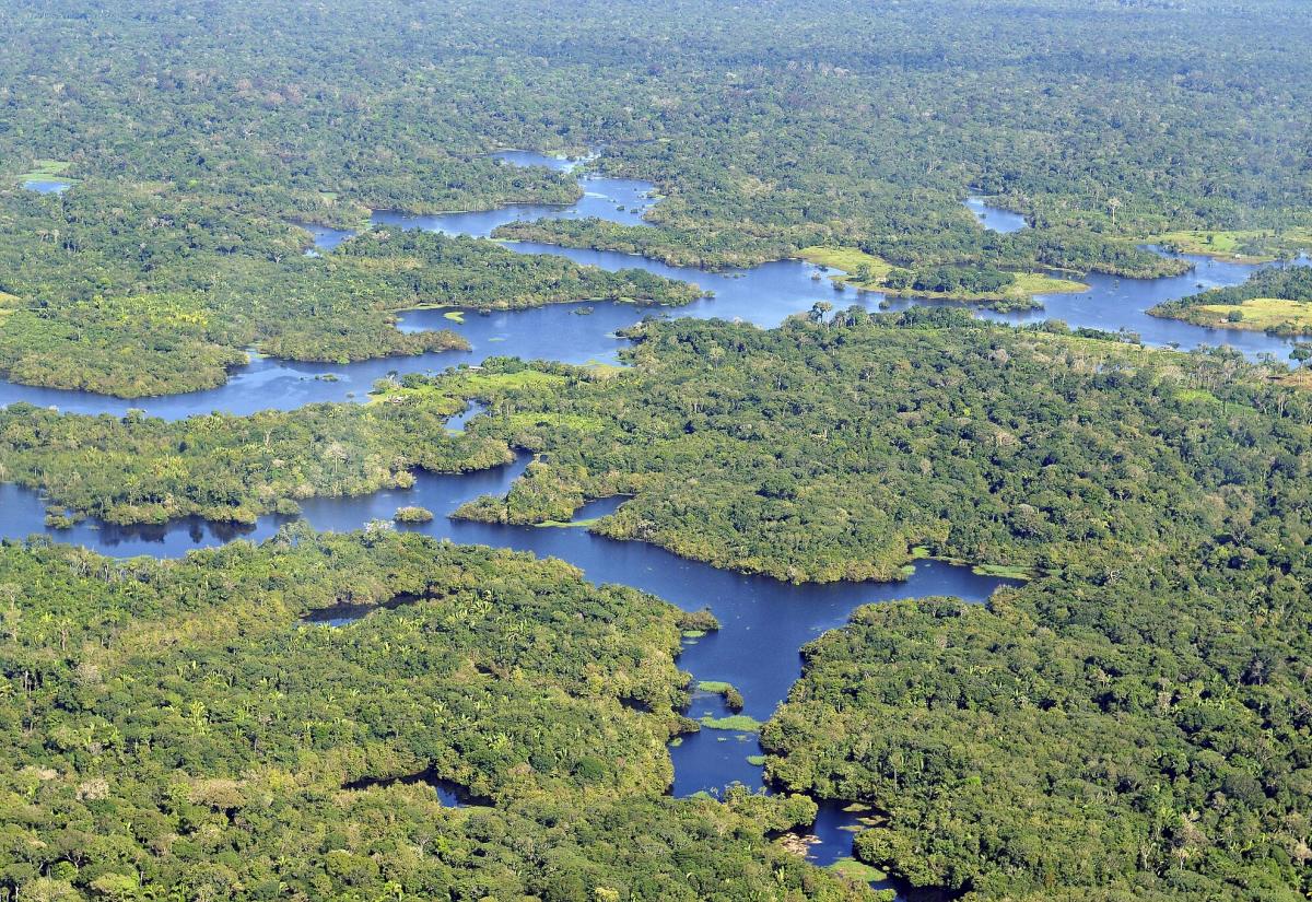 Aerial view of the Amazon rainforest, in the Brazilian state of Amazonas. 