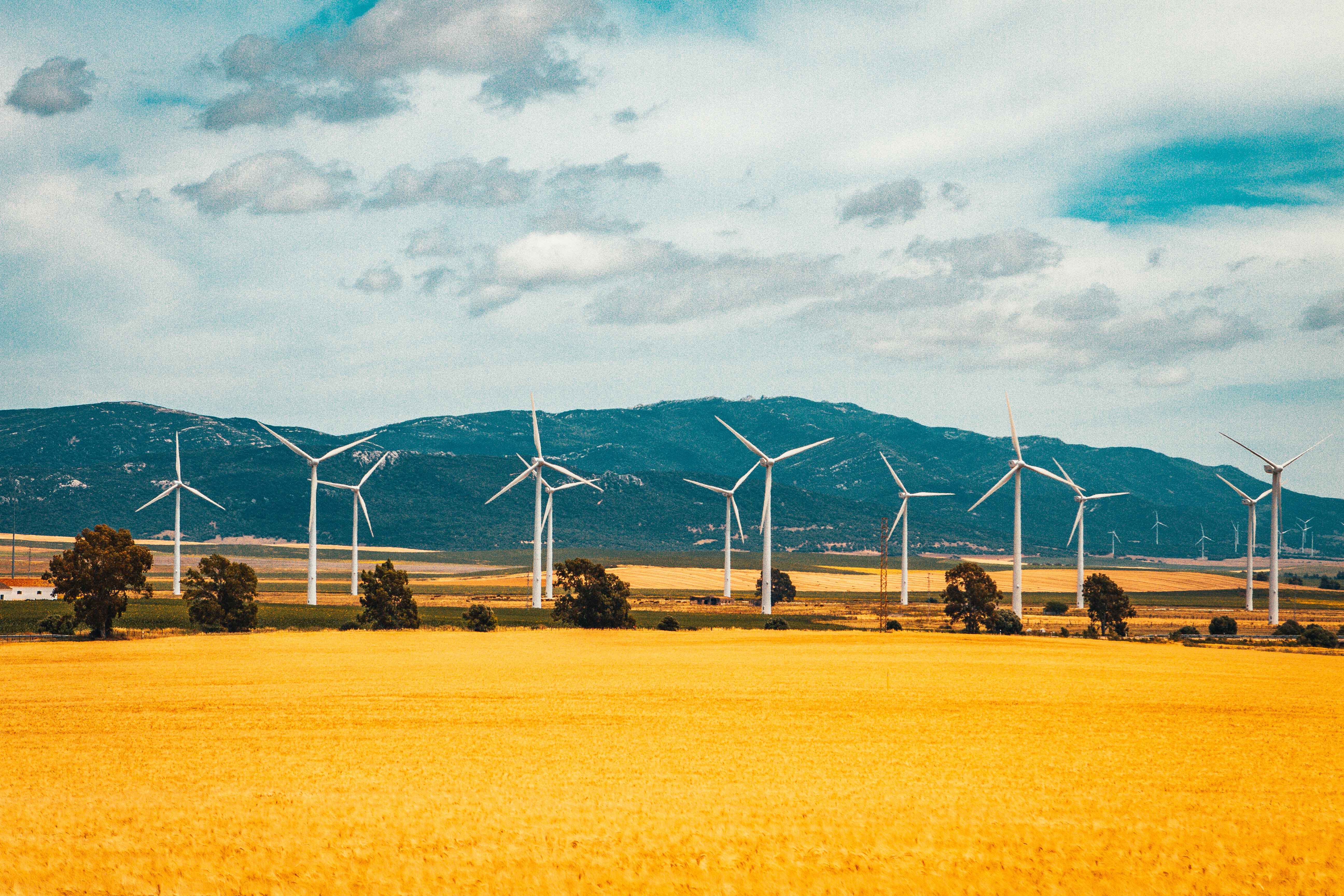 A landscape with wind turbines