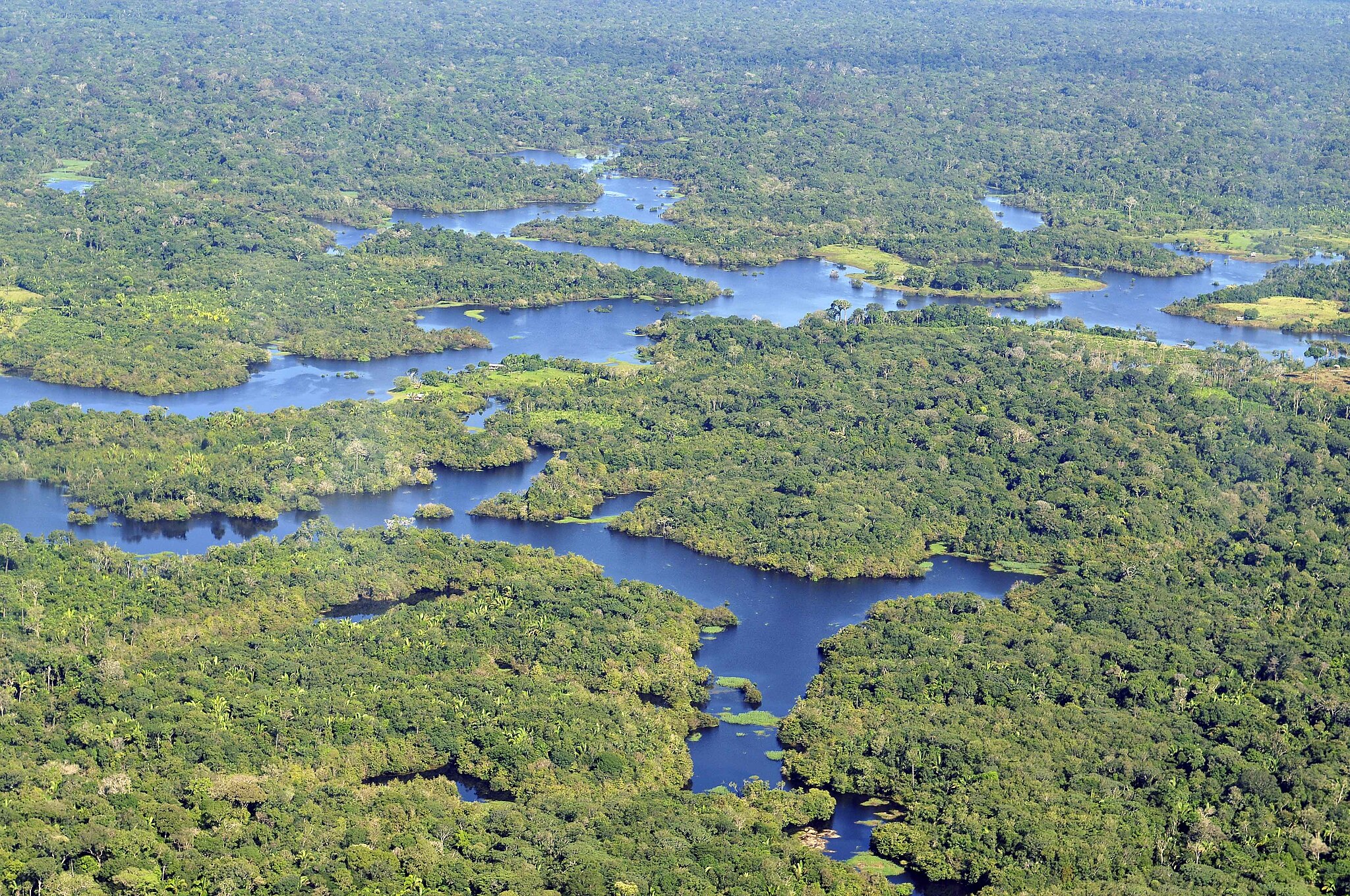 Aerial view of the Amazon rainforest, in the Brazilian state of Amazonas. 