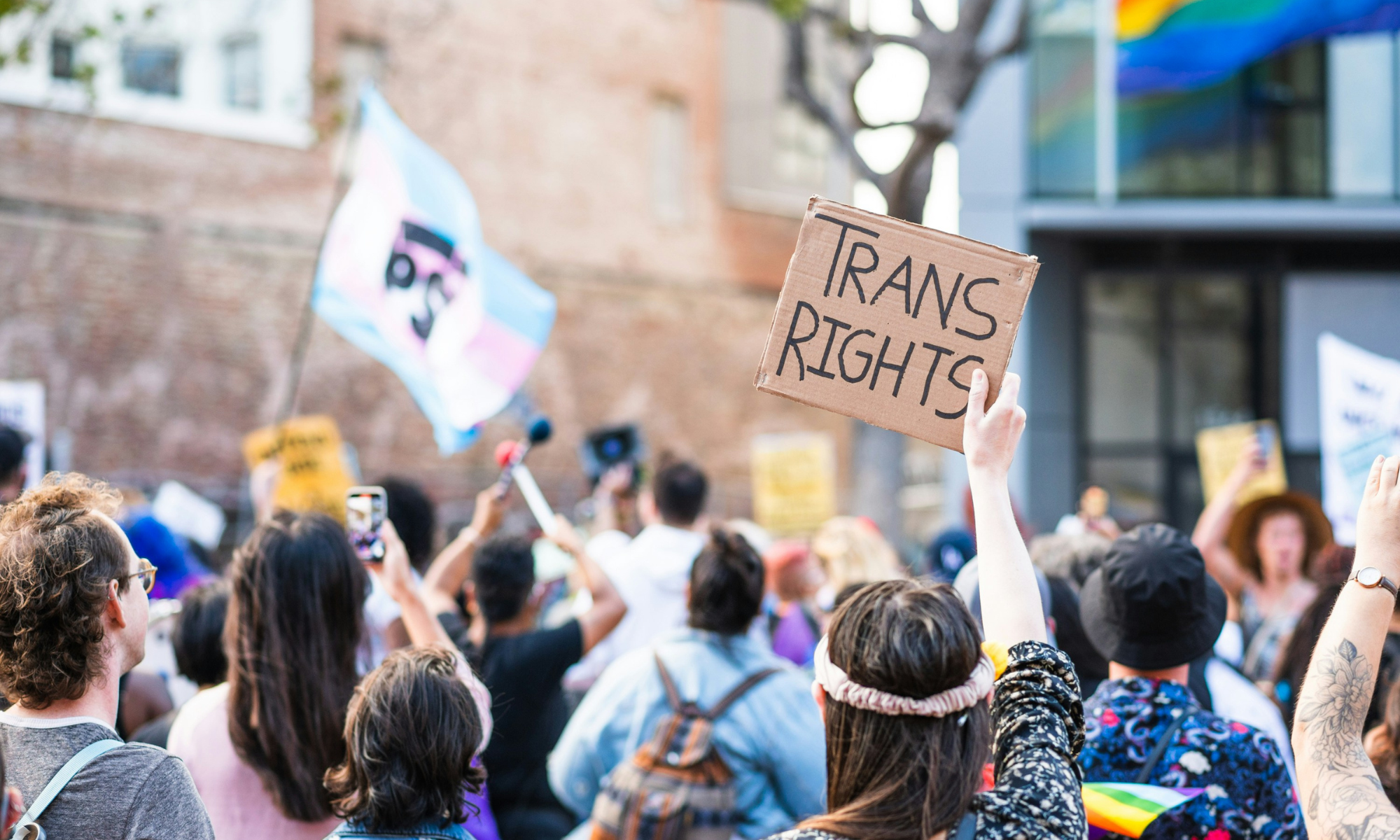 A crowd of people gathered at a protest or rally, with one person holding up a cardboard sign that reads “TRANS RIGHTS.” In the background, a transgender pride flag and a rainbow pride flag are visible, along with various other signs and banners. The atmosphere appears peaceful and supportive.