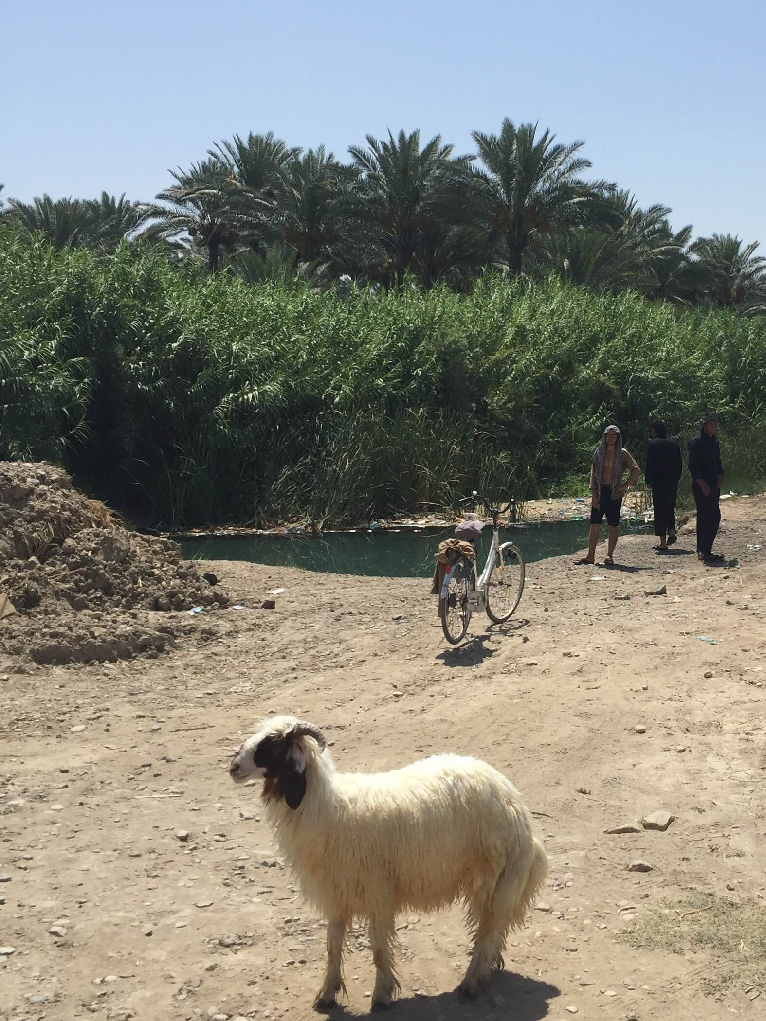 Local boys consider a swim in Kalar, Iraq