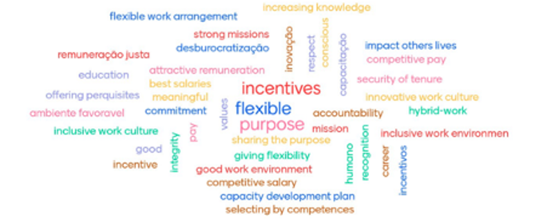 Participants' answers when asked about how governments should attract the best talent