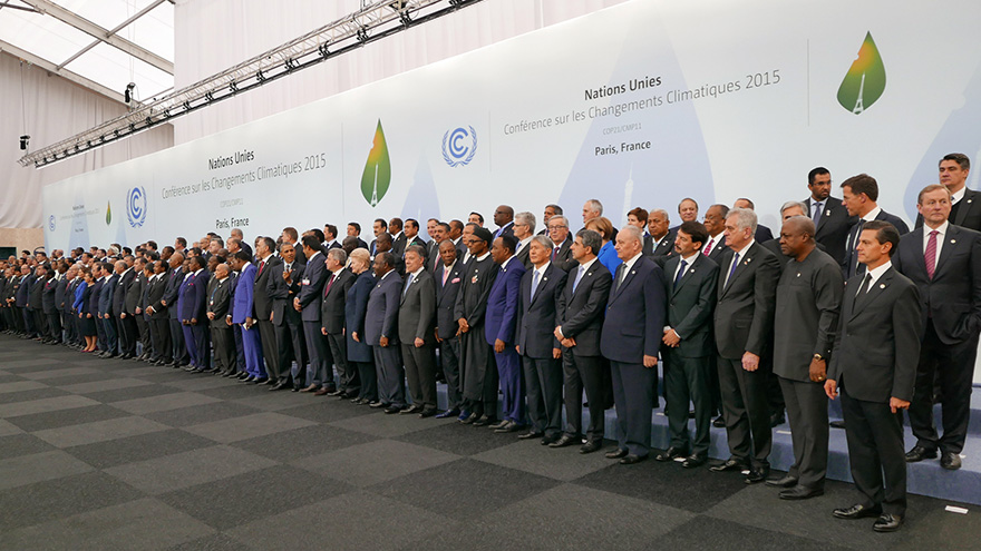 Groundswell of Global Climate Action