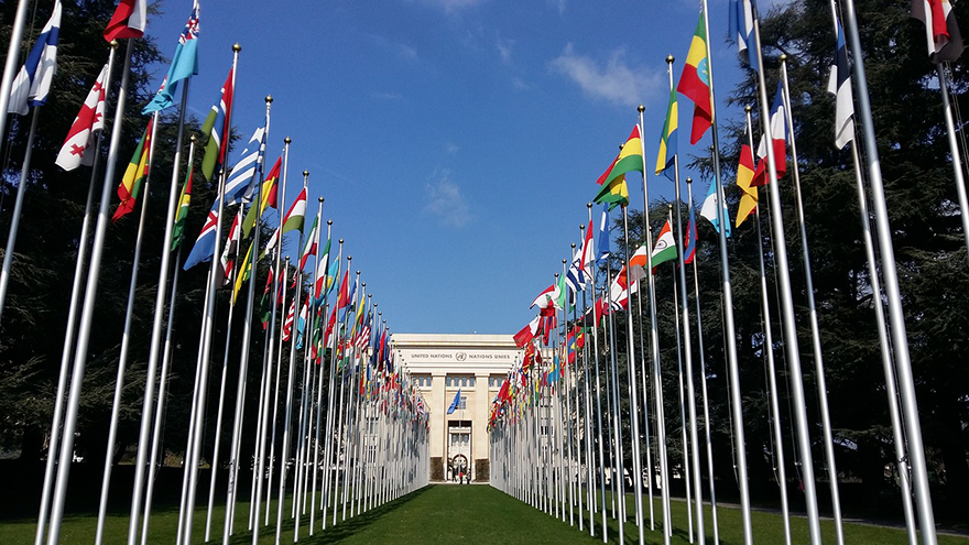 The WTO: Institutional reform and future leadership