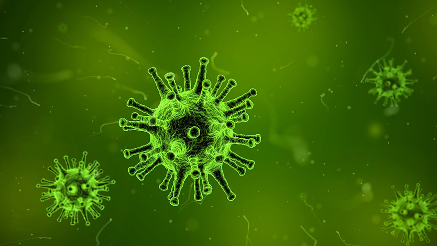 Microscopic image of a virus