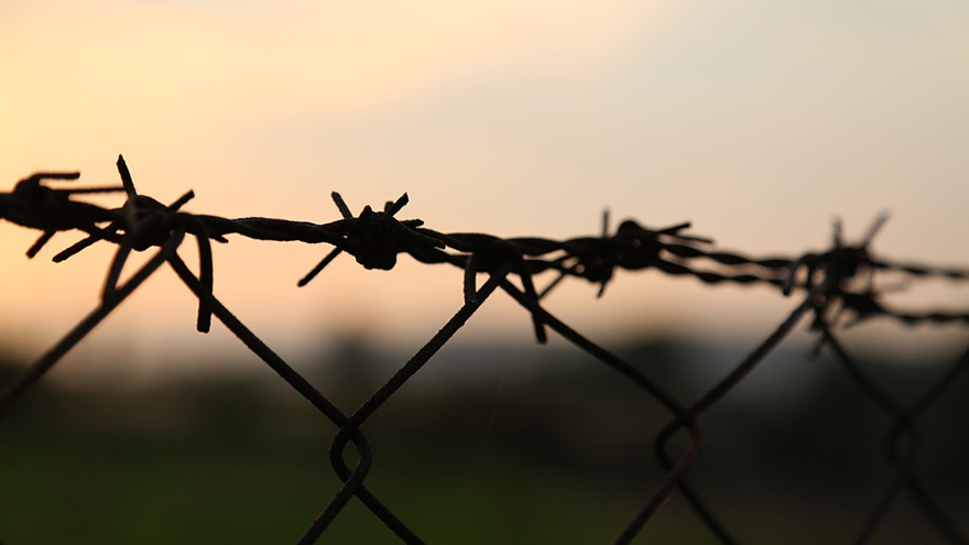 barbed-wire