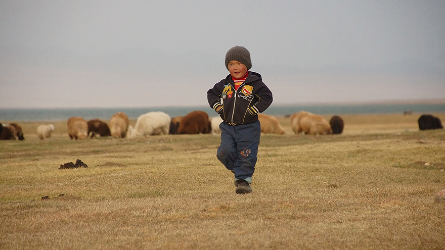 Kyrgyz child and cattle