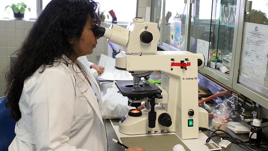 Scientist in laboratory