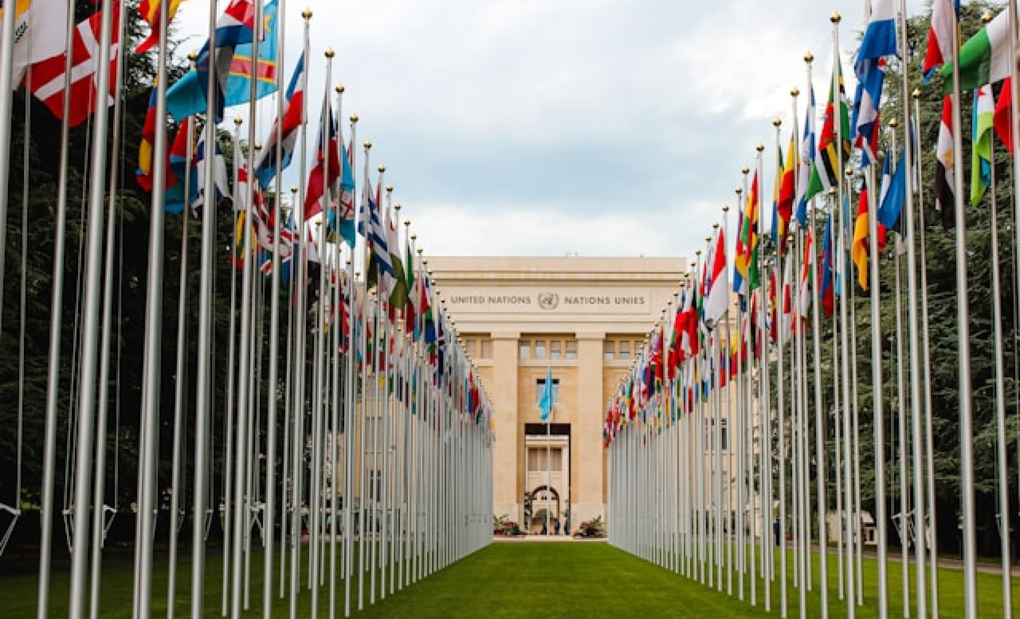Photo of flags leading up to the United Nations building