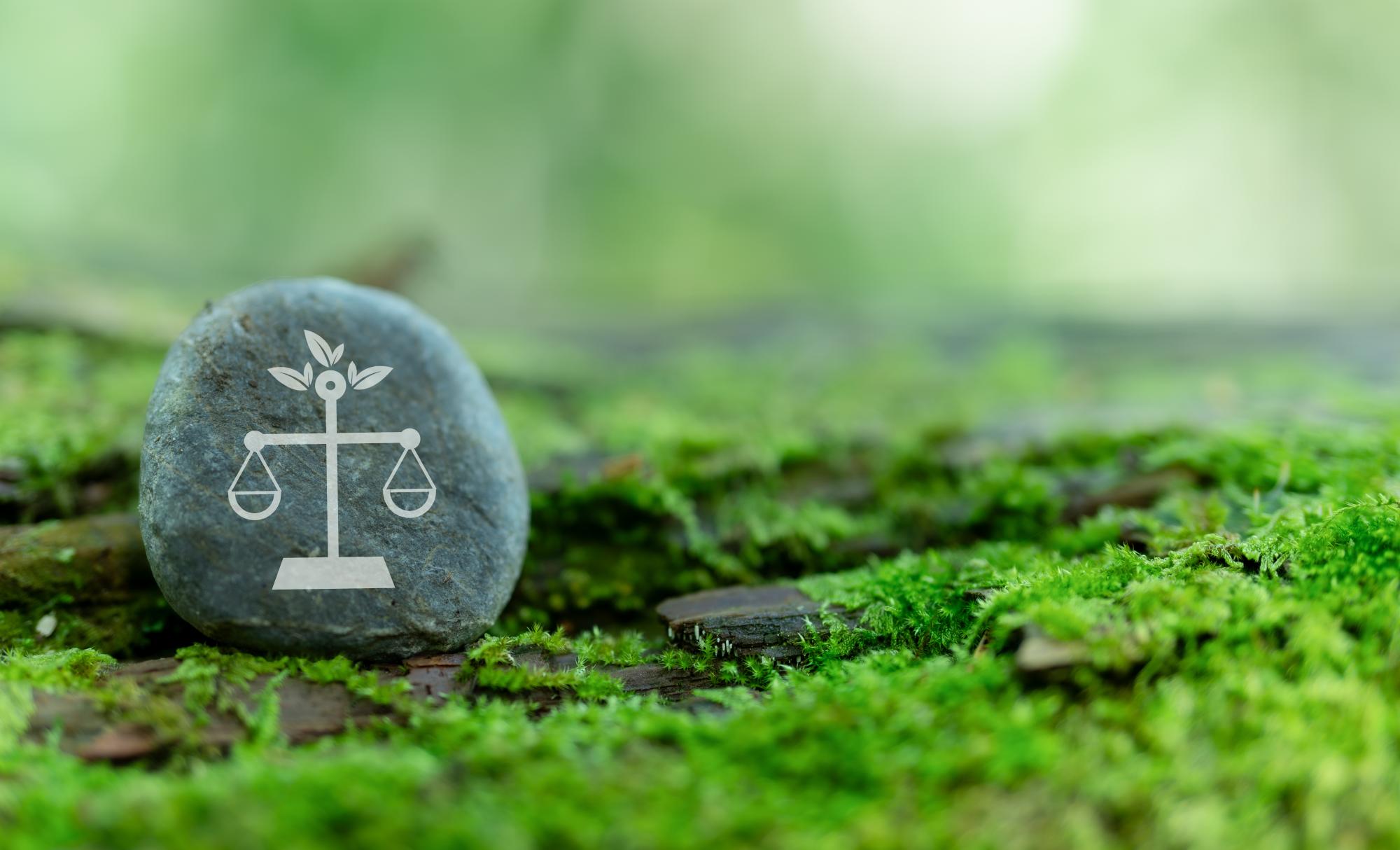 A pebble in the foreground is pictured with balancing scales on it against a grassy background