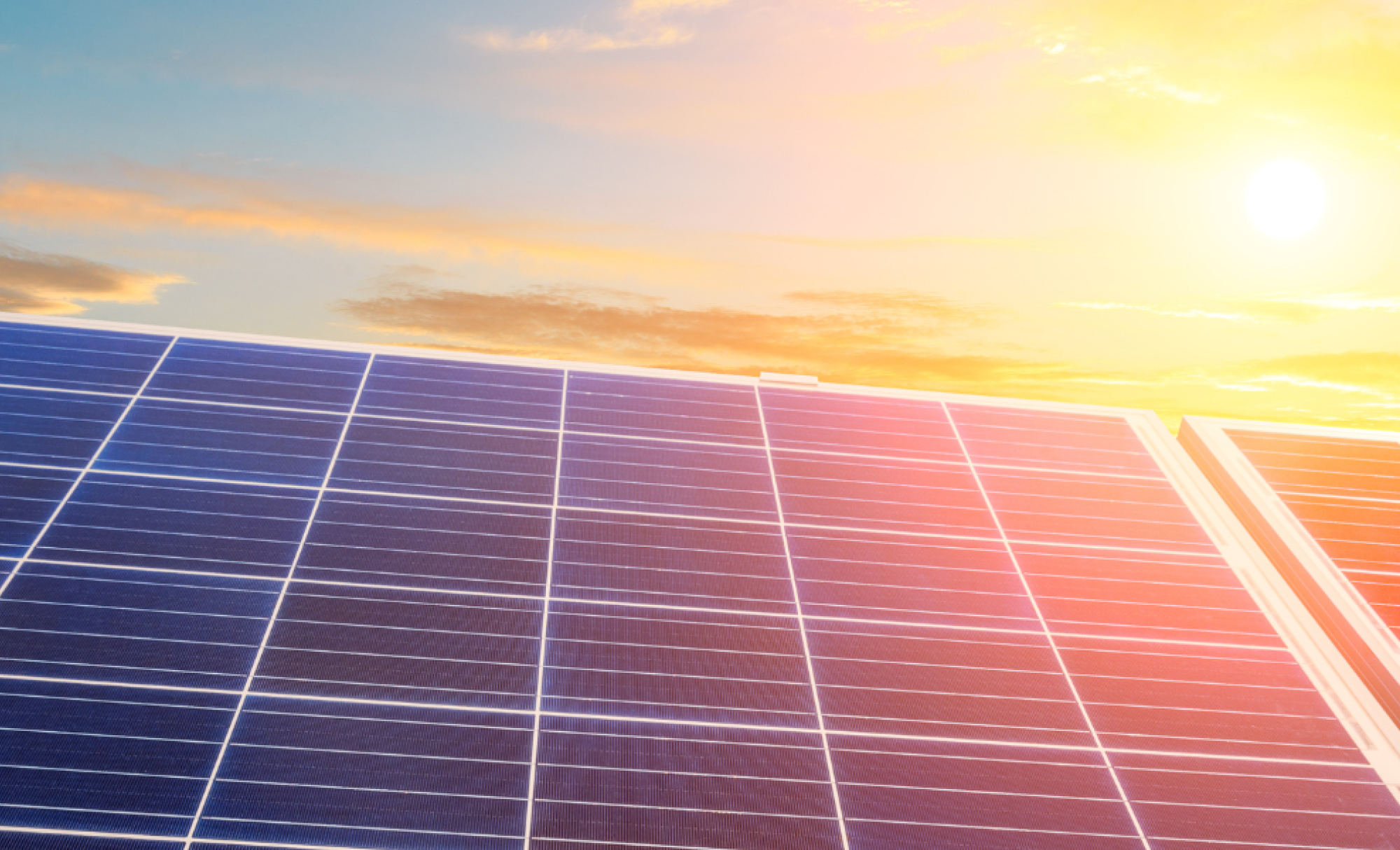Solar panels against a sunset