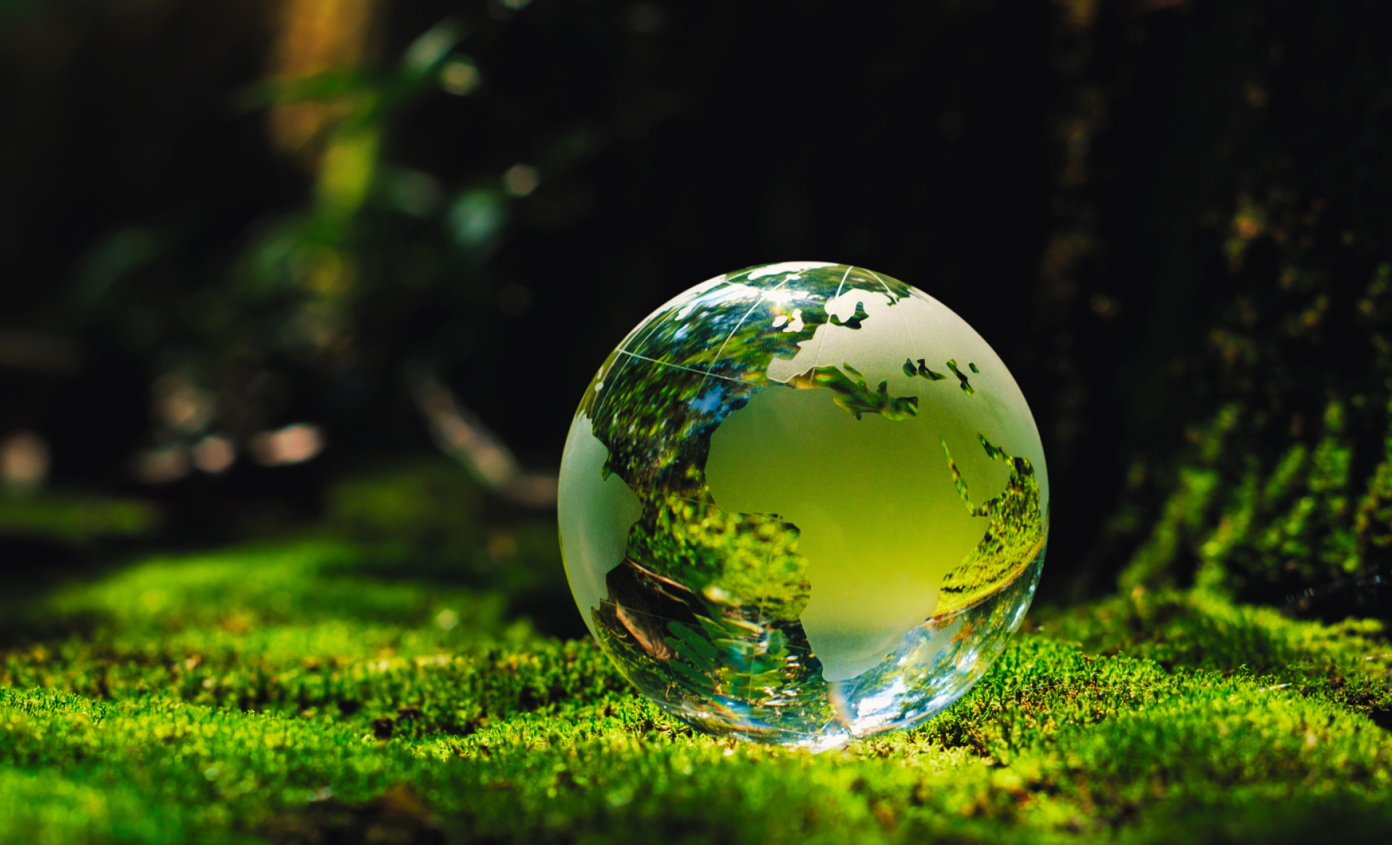 Abstract image of Earth as glass ball resting on moss in a wood