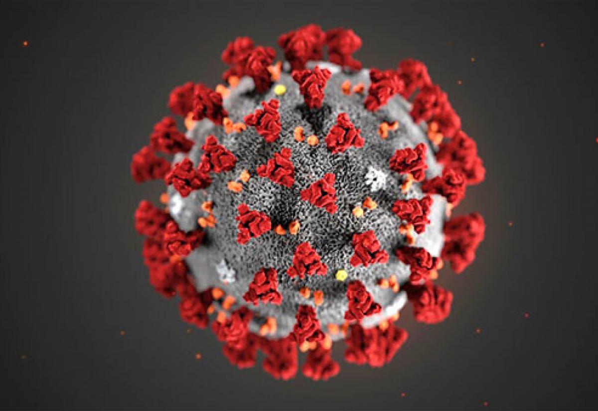 2019 Novel Coronavirus illustration