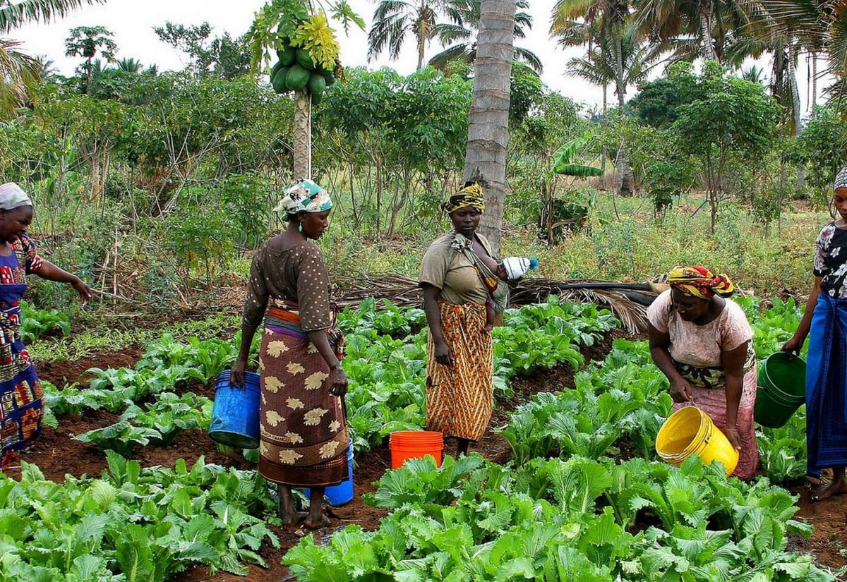 Women working in Tanzania