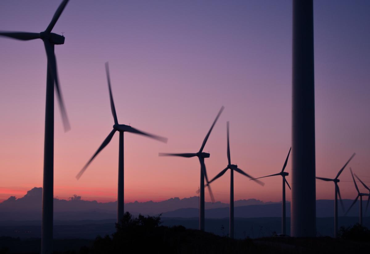 Windfarms at sunset