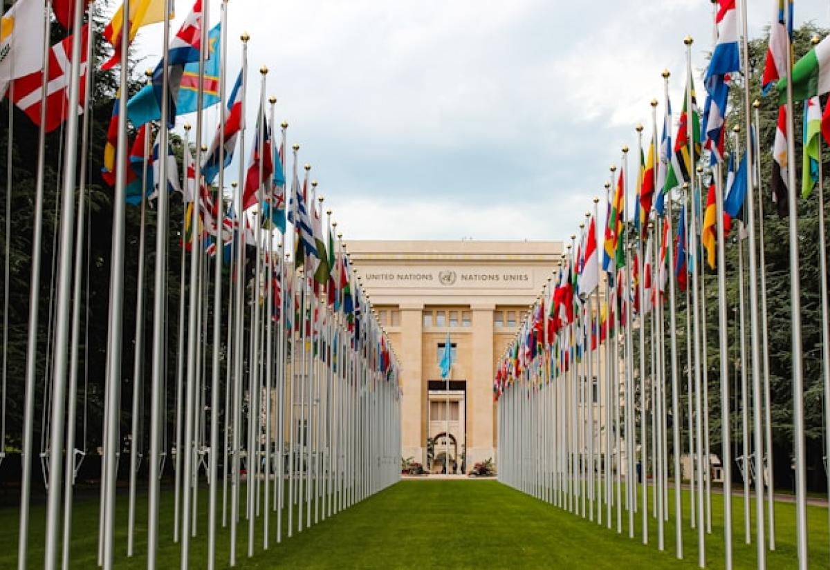 Photo of flags leading up to the United Nations building
