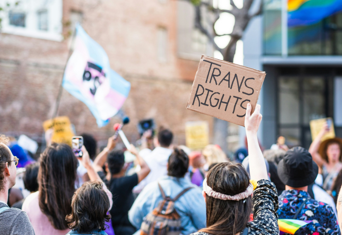 A crowd of people gathered at a protest or rally, with one person holding up a cardboard sign that reads “TRANS RIGHTS.” In the background, a transgender pride flag and a rainbow pride flag are visible, along with various other signs and banners. The atmosphere appears peaceful and supportive.