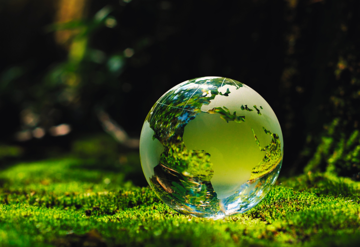 Abstract image of Earth as glass ball resting on moss in a wood