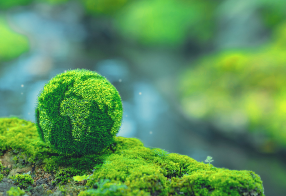 Abstract image of Earth against natural backdrop of stream and moss