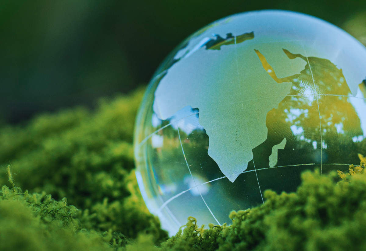 A glass globe on a bed of moss