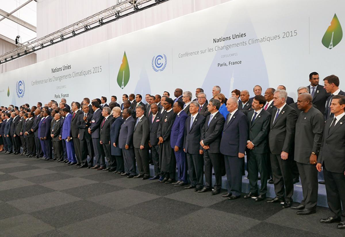 Groundswell of Global Climate Action
