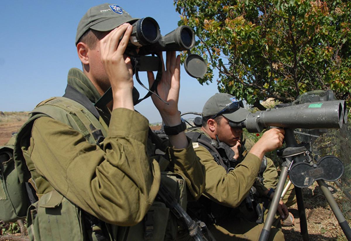 Grounds for Hope: The Science Behind Territorial Conflict