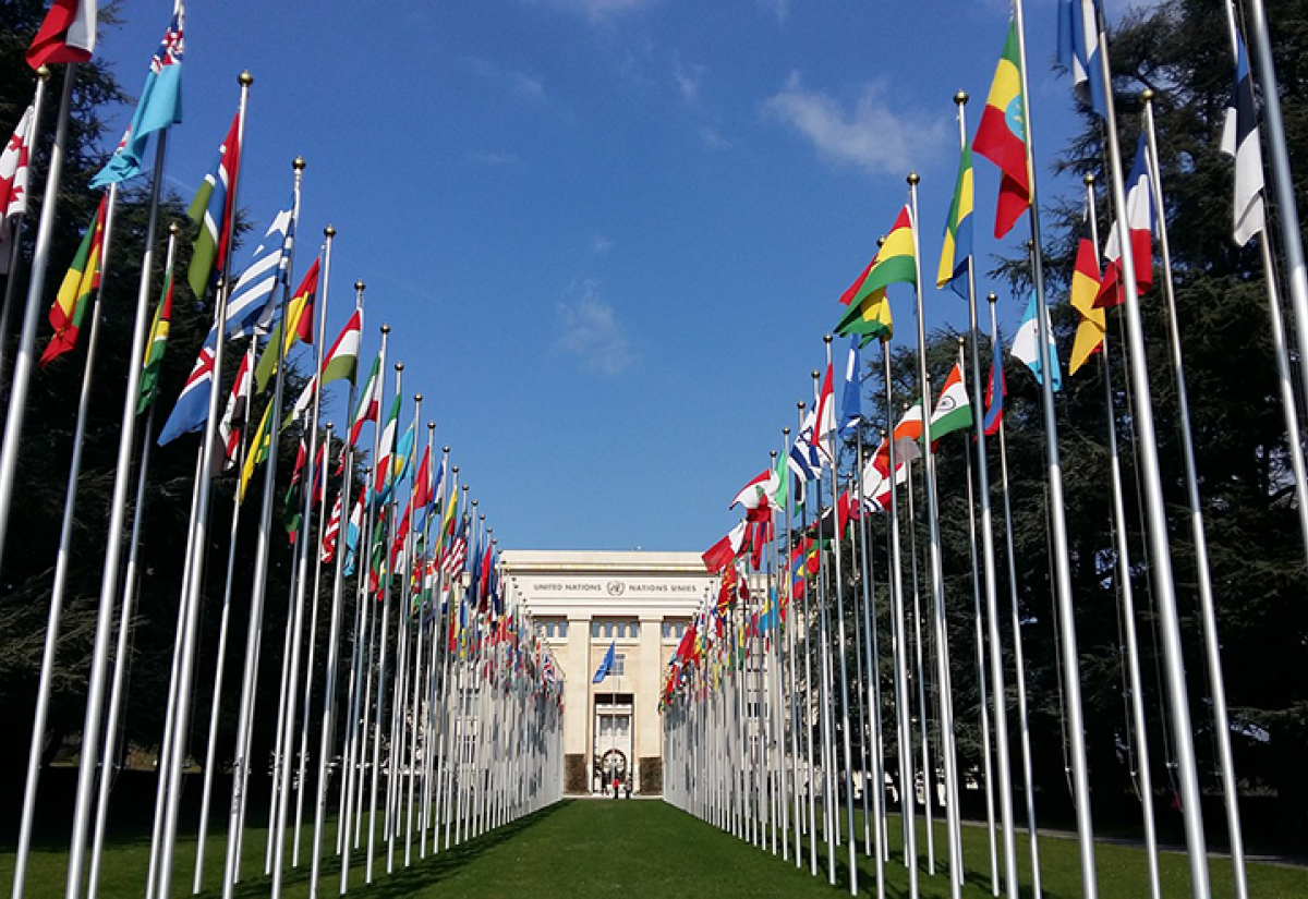 The WTO: Institutional reform and future leadership