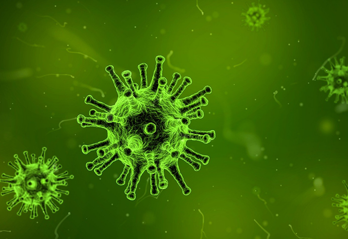 Microscopic image of a virus