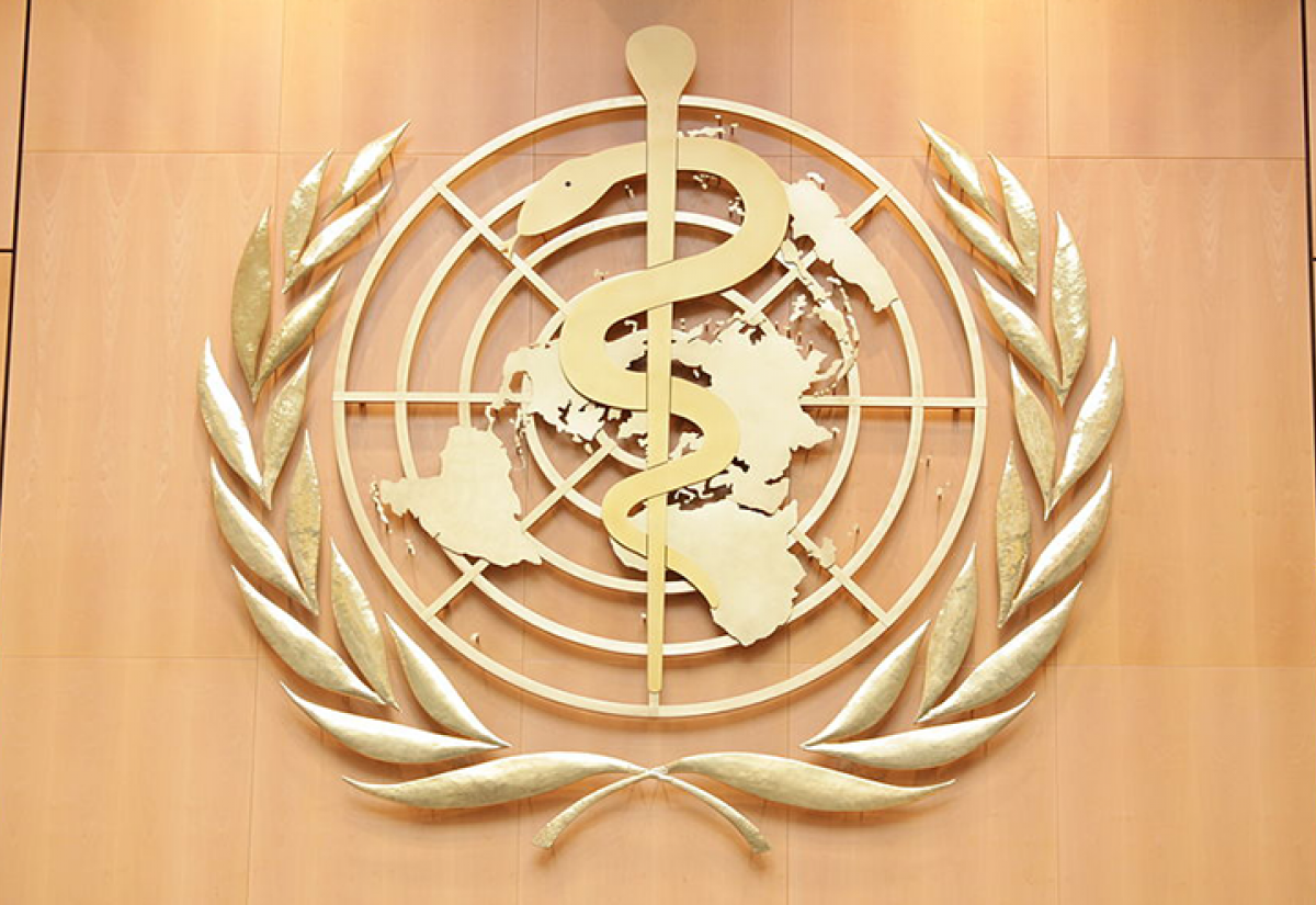 World Health Organisation logo on a wall at its headquarters in Geneva