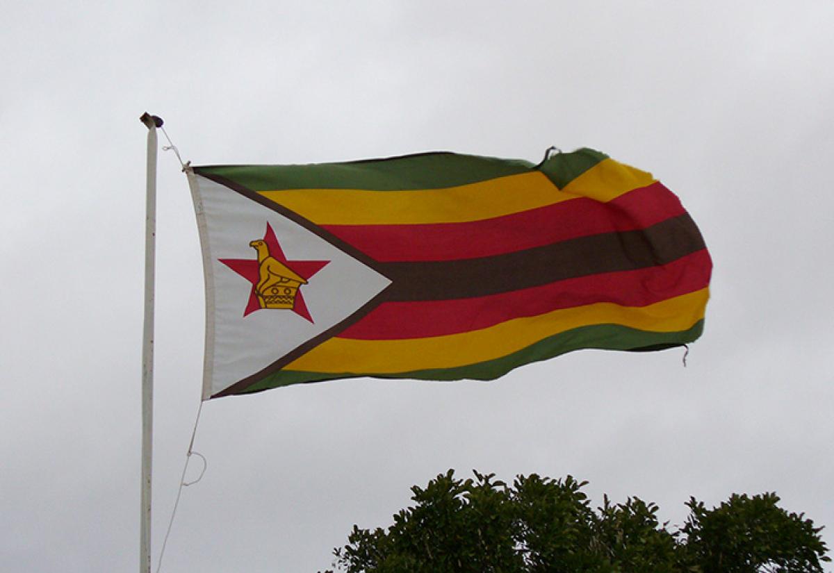 Zimbabwean flag.