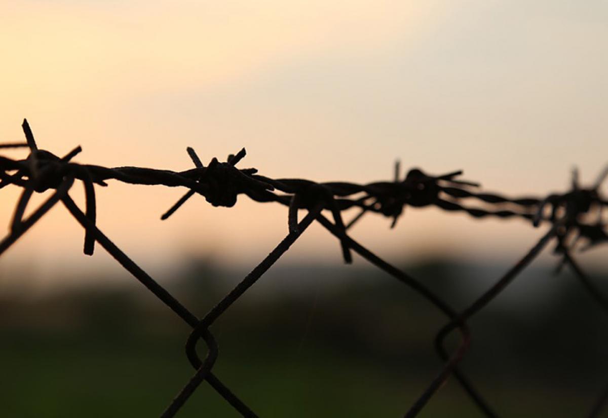 barbed-wire