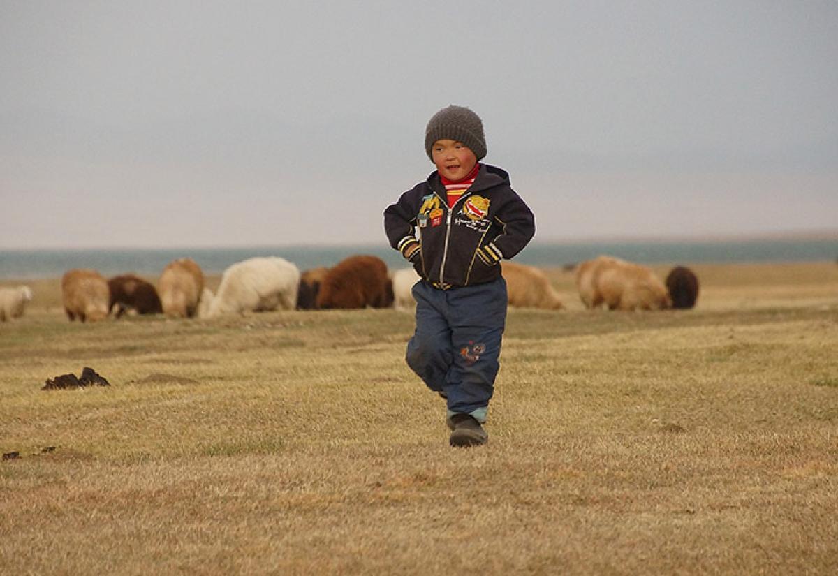 Kyrgyz child and cattle