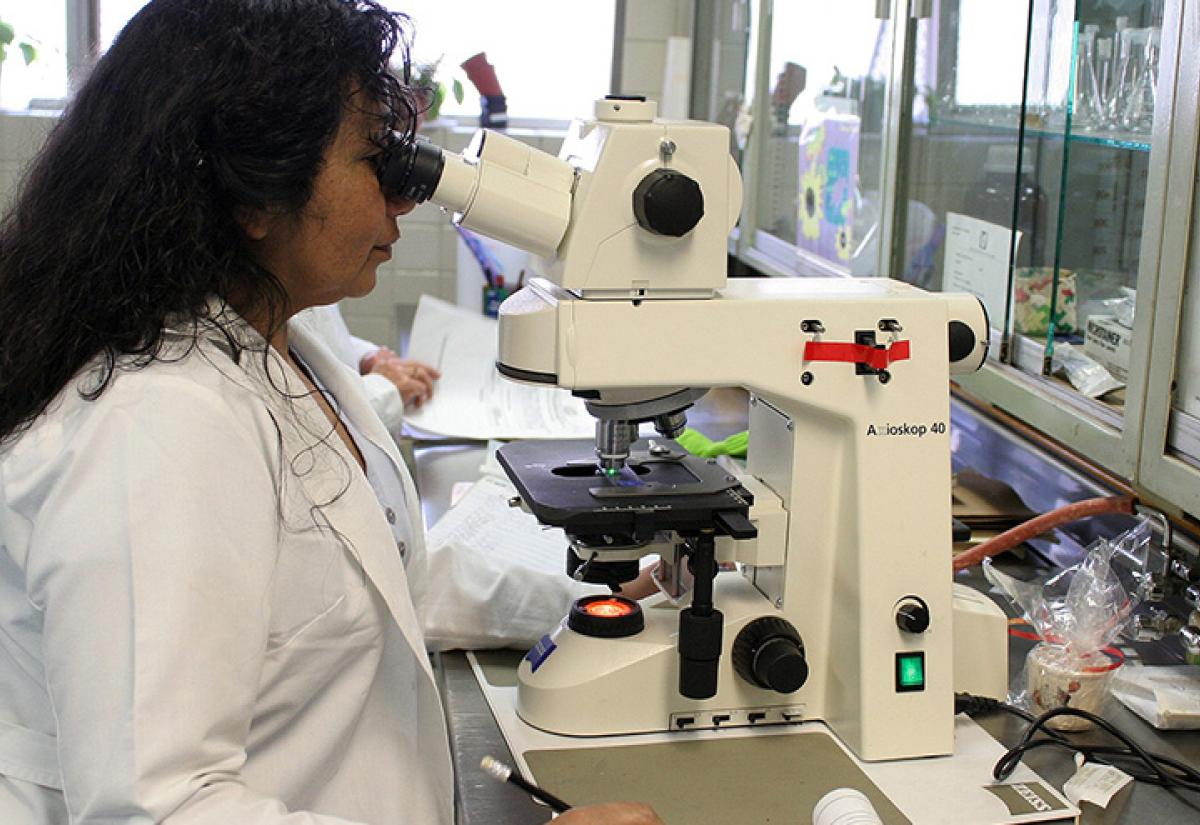 Scientist in laboratory