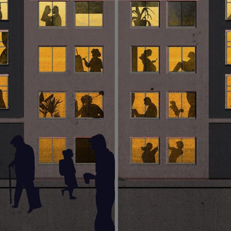 Low trust societies