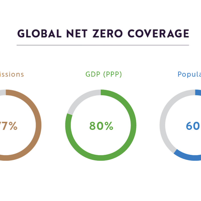 Global net zero infographic
