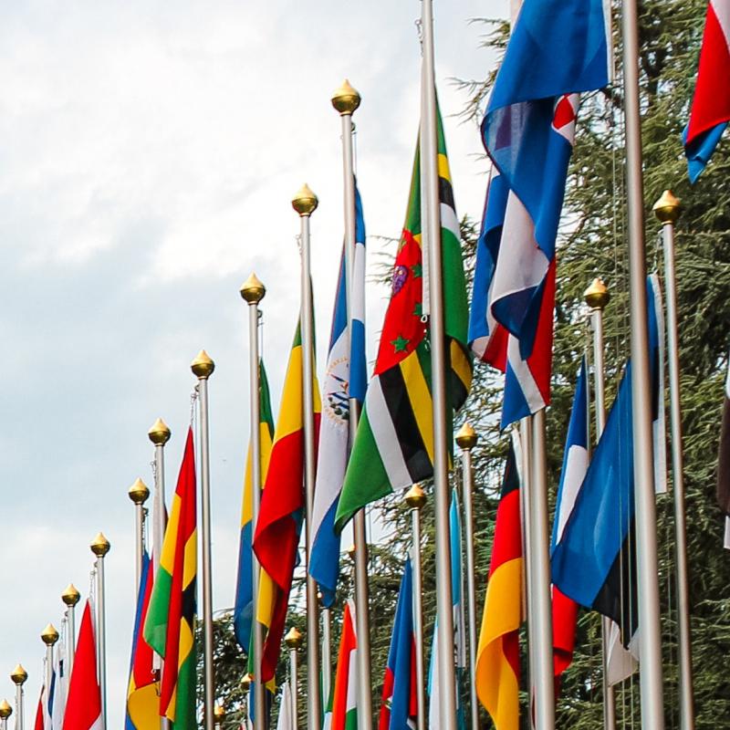 United Nations flags