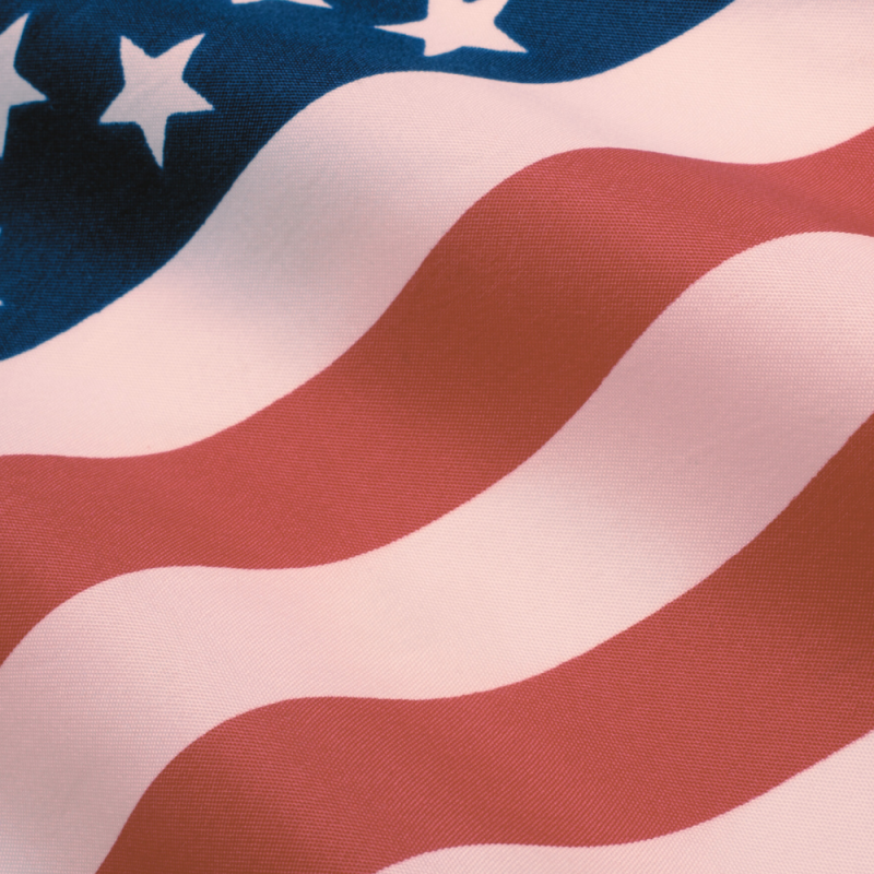 US flag