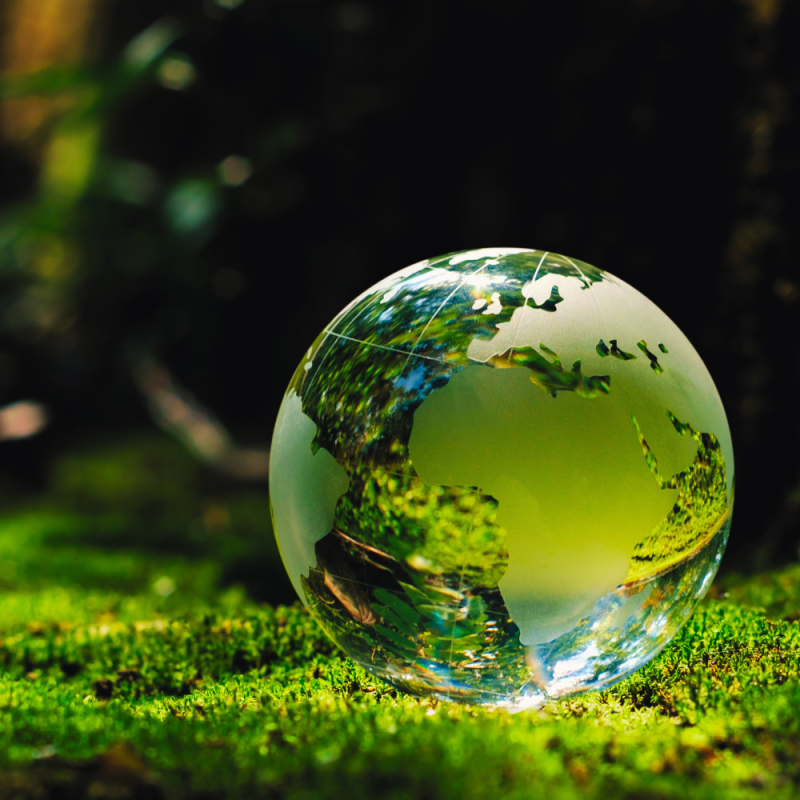 Abstract image of Earth as glass ball resting on moss in a wood
