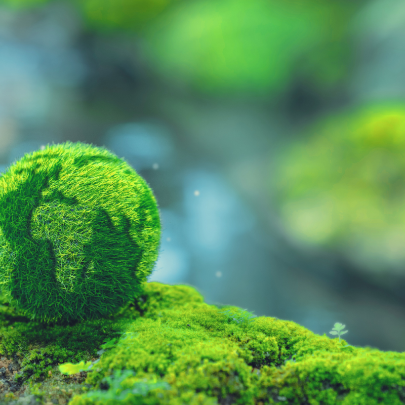 Abstract image of Earth against natural backdrop of stream and moss