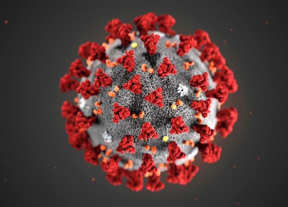 2019 Novel Coronavirus illustration