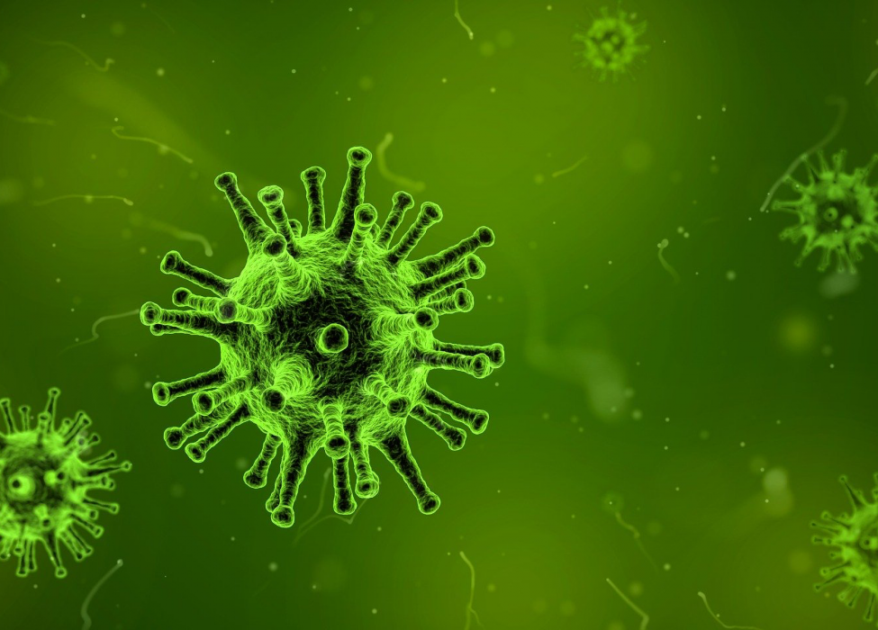 Coronavirus