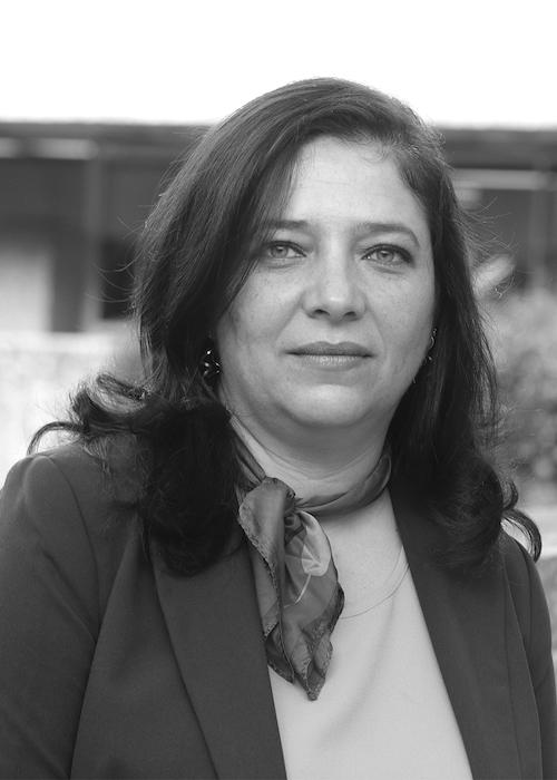Silvia Giorguli Saucedo