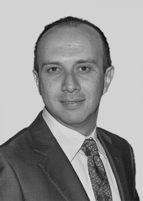 Fadi Salem
