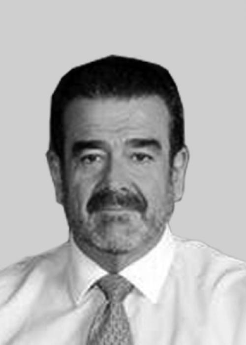 Andrónico Luksic