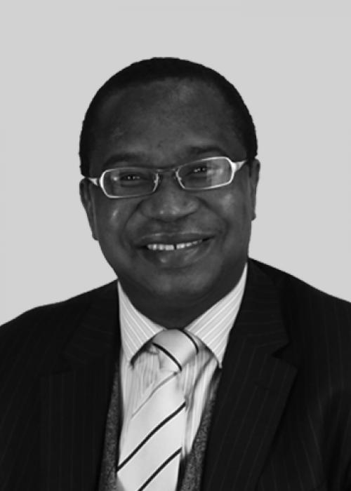 Mthuli Ncube